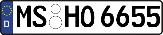 MS-HO6655