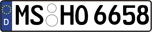 MS-HO6658
