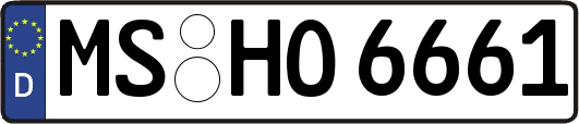 MS-HO6661