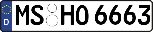 MS-HO6663