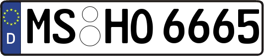 MS-HO6665