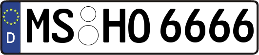 MS-HO6666