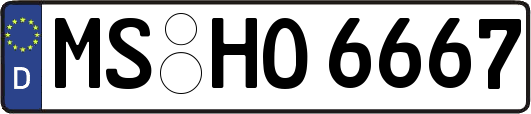 MS-HO6667