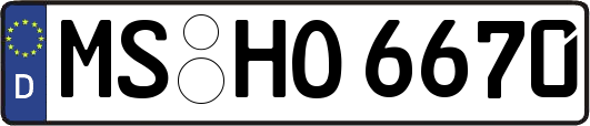 MS-HO6670