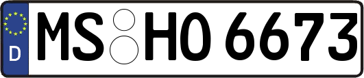 MS-HO6673