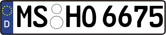 MS-HO6675