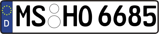 MS-HO6685
