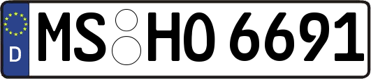 MS-HO6691