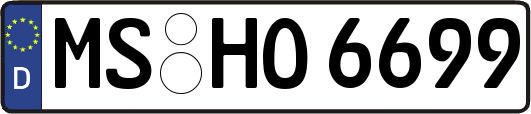 MS-HO6699