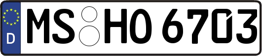 MS-HO6703
