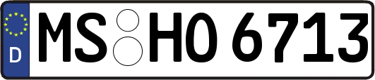 MS-HO6713