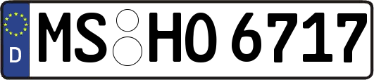 MS-HO6717