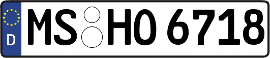MS-HO6718