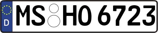 MS-HO6723