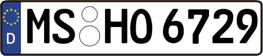 MS-HO6729