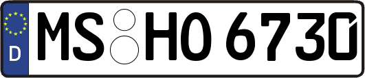 MS-HO6730