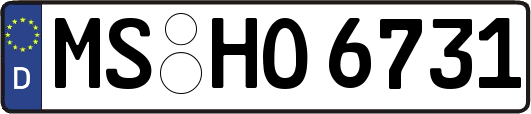 MS-HO6731
