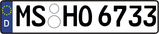 MS-HO6733