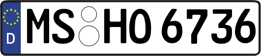 MS-HO6736