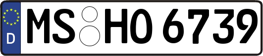 MS-HO6739