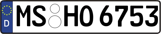 MS-HO6753