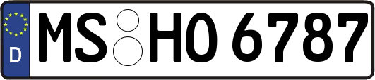 MS-HO6787
