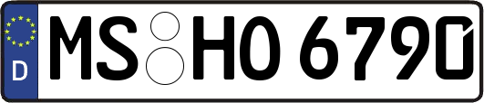 MS-HO6790