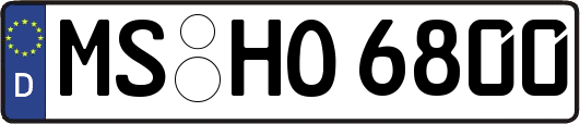 MS-HO6800