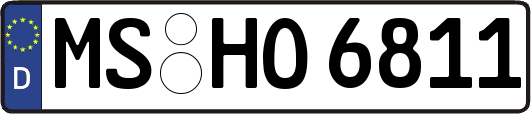 MS-HO6811