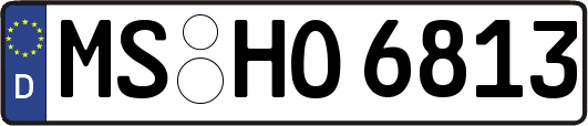 MS-HO6813