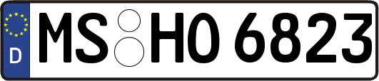 MS-HO6823