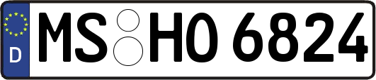 MS-HO6824