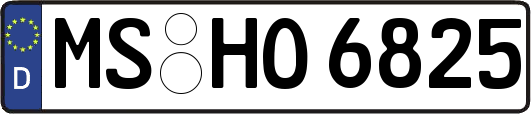 MS-HO6825