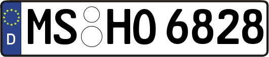 MS-HO6828