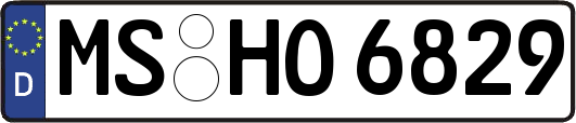 MS-HO6829