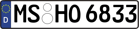 MS-HO6833