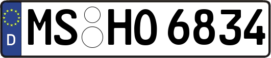 MS-HO6834