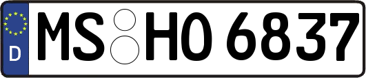 MS-HO6837