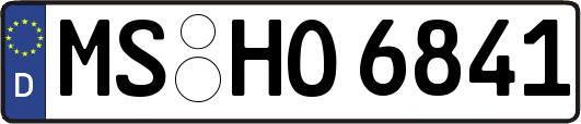 MS-HO6841