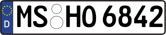MS-HO6842