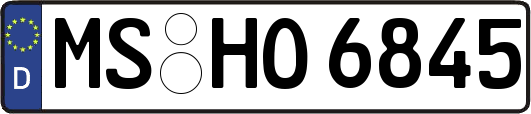 MS-HO6845