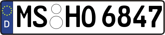 MS-HO6847