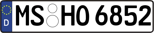 MS-HO6852