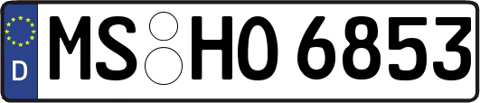 MS-HO6853