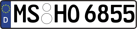 MS-HO6855