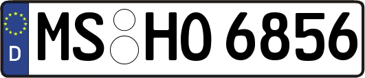 MS-HO6856