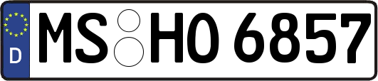 MS-HO6857