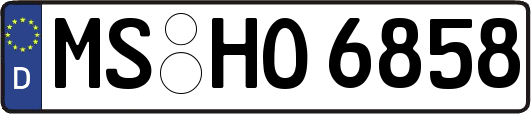 MS-HO6858