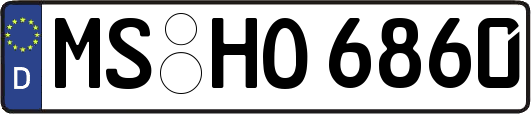 MS-HO6860