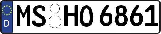 MS-HO6861